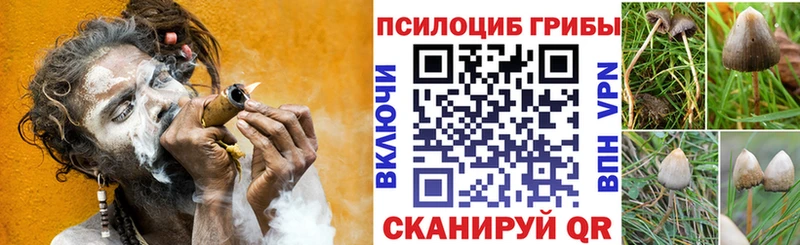 hydra вход  Дербент  Галлюциногенные грибы Psilocybe 