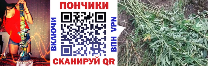 блэк спрут зеркало  Дербент  Шишки марихуана Bruce Banner 